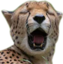 🌄 CheeStix 5000, стикер Telegram 9 из 79