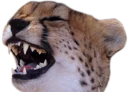 😺 CheeStix 5000, стикер Telegram 20 из 79