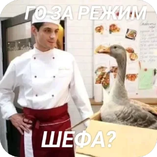 Sticker from огузок