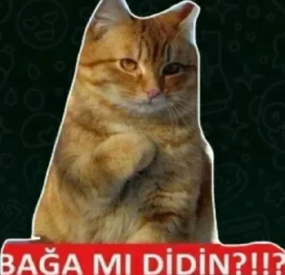Sticker from @god_sayn @DogeUserBot Paketi 2