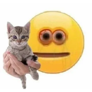 😁 emoji Caritas Telegram sticker 13 of 30