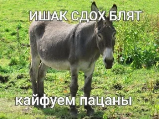 🙈 emoji Стикеры @stickrubot @textmeru_bot Telegram sticker 22 of 120