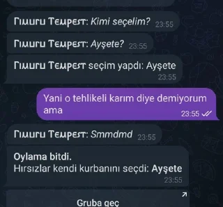 🤔 emoji Ayşetes kang pack Telegram sticker 2 of 15