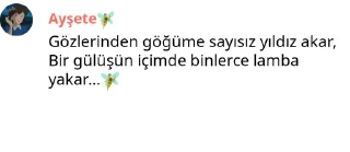 🧚‍♂️ emoji Ayşetes kang pack Telegram sticker 12 of 15