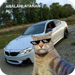 Sticker from Merdo @Puw4ll