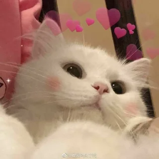 💖 emoji @thetys @DTOUserBot Paketi 1 Telegram sticker 3 of 70