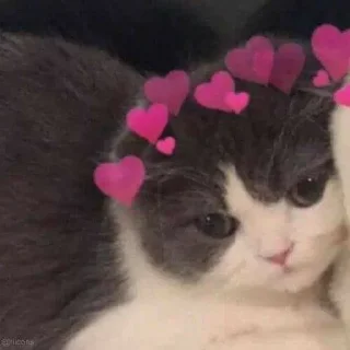 🥰 emoji @thetys @DTOUserBot Paketi 1 Telegram sticker 18 of 70