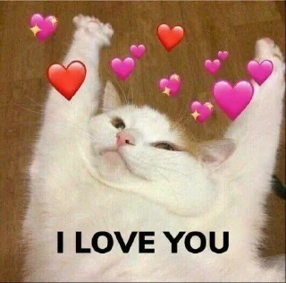 💞 emoji @thetys @DTOUserBot Paketi 1 Telegram sticker 2 of 70