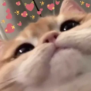 💞 emoji @thetys @DTOUserBot Paketi 1 Telegram sticker 4 of 70