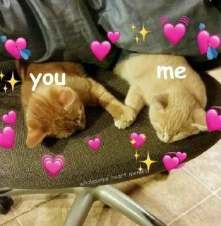 💖 emoji @thetys @DTOUserBot Paketi 1 Telegram sticker 5 of 70
