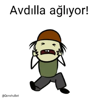 😭 emoji Avdılla @Qonshubot Telegram sticker 14 of 31