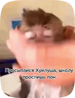 Sticker from Обезьянки поны 2