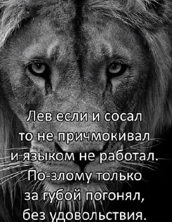 Sticker from зацени мой свэг