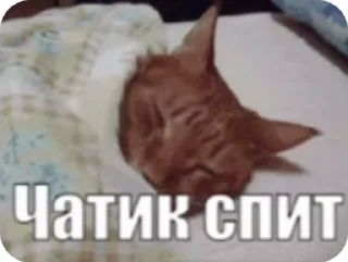 🌟 emoji Ответы на сообщения Telegram sticker 21 of 53