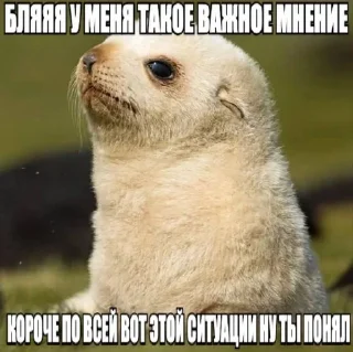 Sticker from Здравствуйте, до свидания