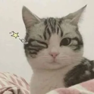 Sticker from Kitties @MyselfMeandIo