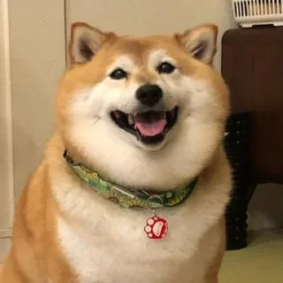 Sticker from Doggo doing things
