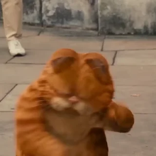 🐈 emoji ፥   𝖦𝖺𝗋𝖿𝗂𝖾𝗅𝖽  〃   ‌ @Swanpack Telegram sticker 10 of 50