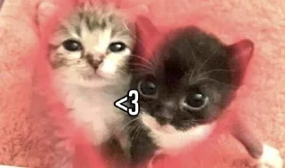 ❤️ emoji The "THE" Telegram sticker 24 of 68