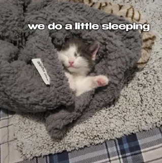 🛏 emoji The "THE" Telegram sticker 11 of 68