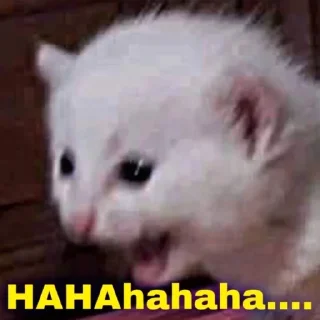 🦔 emoji Pack Name Telegram sticker 9 of 29