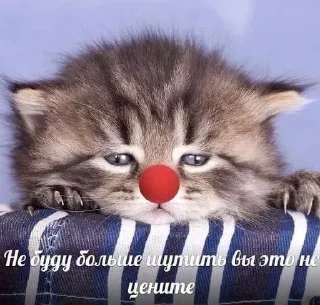 😒 emoji Забивной пупс 2 😈 Telegram sticker 9 of 95