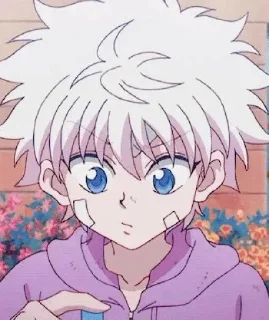 🤨 emoji killua Telegram sticker 21 of 51