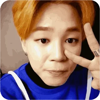 🐶 emoji Jimin 🐶 ( @Bts_stickers1) Telegram sticker 8 of 40