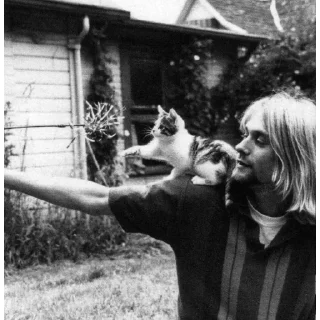 🐈 emoji kurt cobain [ @forgttonrealm ] Telegram sticker 24 of 40