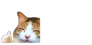 👍 emoji جواب بی وفایی کلاش بی جوازه😉 Telegram sticker 9 of 106