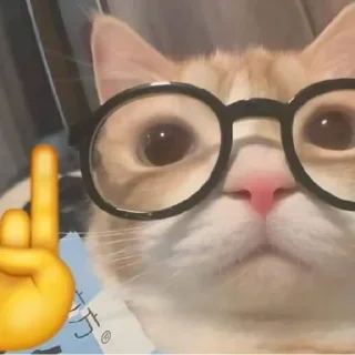🎍 emoji جواب بی وفایی کلاش بی جوازه😉 Telegram sticker 23 of 106