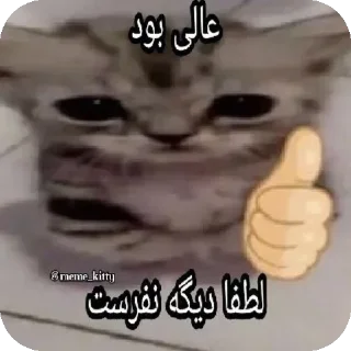 Sticker from جواب بی وفایی کلاش بی جوازه😉