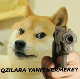🔫 emoji @aidanhussein @DTOUserBot Paketi 1 Telegram sticker 16 of 114
