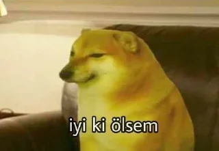😩 emoji @aidanhussein @DTOUserBot Paketi 1 Telegram sticker 21 of 114