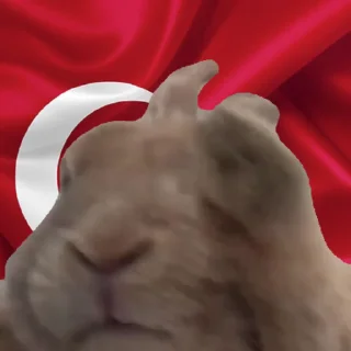 🐰 emoji @LewonPUBG Çıkartma @AndCheats Telegram sticker 21 of 85