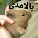 Sticker from 🐰دوشان🐰