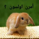 Sticker from 🐰دوشان🐰