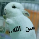 Sticker from 🐰دوشان🐰