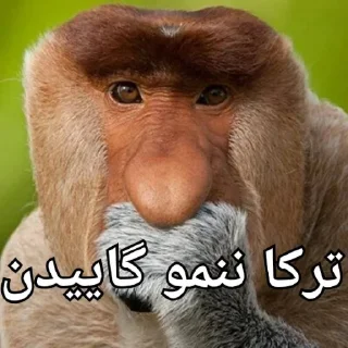 Sticker from کیرم تو عیران