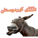 Sticker from کیرم تو پارس عاریایی و کردای خر