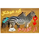 Sticker from کیرم تو پارس عاریایی و کردای خر