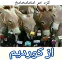 Sticker from کیرم تو پارس عاریایی و کردای خر