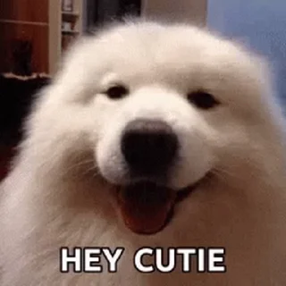 👋 emoji Nosense @MyselfMeandIo Telegram sticker 10 of 47