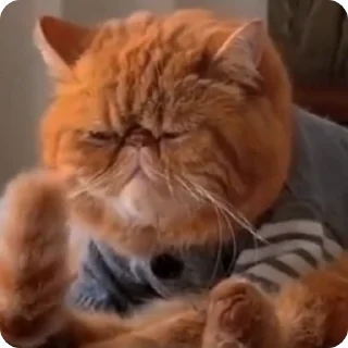 😐 emoji Больше стиков тут: @stikery4 Telegram sticker 22 of 23