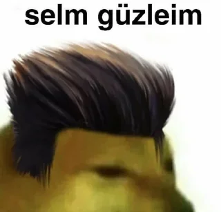 Sticker from @sizofrren @SiriUserBot Paketi 1