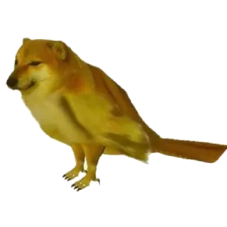 🐊 emoji Anas Floppa Telegram sticker 21 of 120