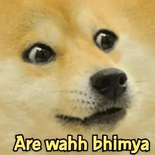 😂 emoji ᥫ᭡⋆˚🐾˖°𝗞ɪ𝗞ɪ 🪽‹𝟹's Telegram sticker 11 of 107