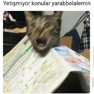 ✨ emoji Oğuzhans kang pack Telegram sticker 15 of 113