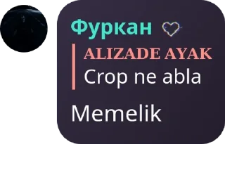 🤲 emoji Ademi'nin paketi Telegram sticker 17 of 87