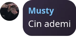 🇸🇸 emoji Ademi'nin paketi Telegram sticker 19 of 87